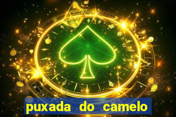 puxada do camelo jogo do bicho